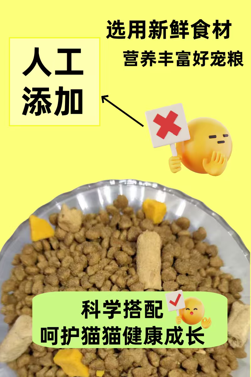 成猫幼猫添加生骨肉益生菌三文鱼油厂家直销诚招全国代理商