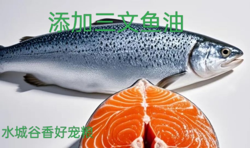 成猫幼猫添加生骨肉益生菌三文鱼油厂家直销诚招全国代理商