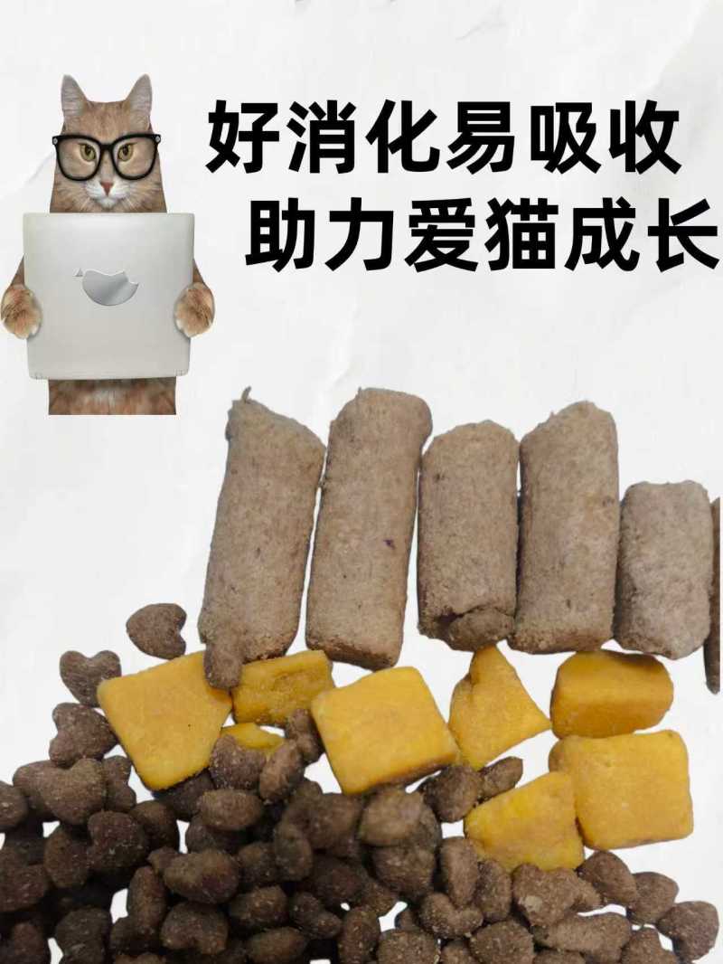 成猫幼猫添加生骨肉益生菌三文鱼油厂家直销诚招全国代理商