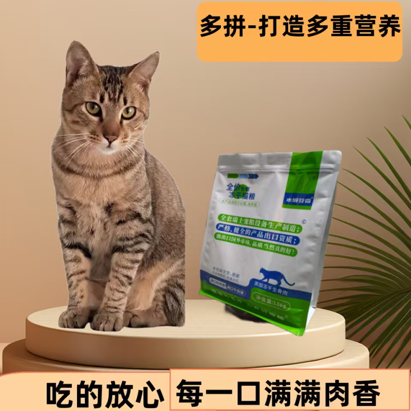 成猫幼猫添加生骨肉益生菌三文鱼油厂家直销诚招全国代理商