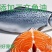 成猫幼猫添加生骨肉益生菌三文鱼油厂家直销诚招全国代理商