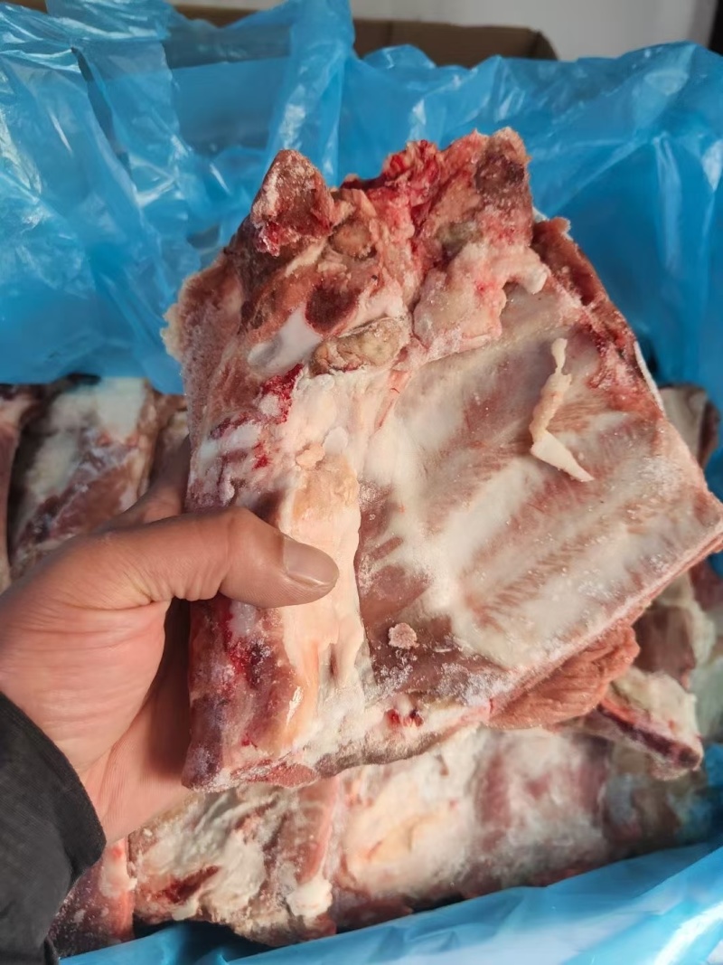 多肉小排