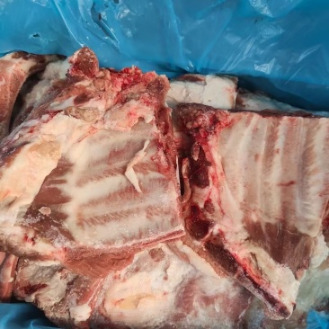 多肉小排