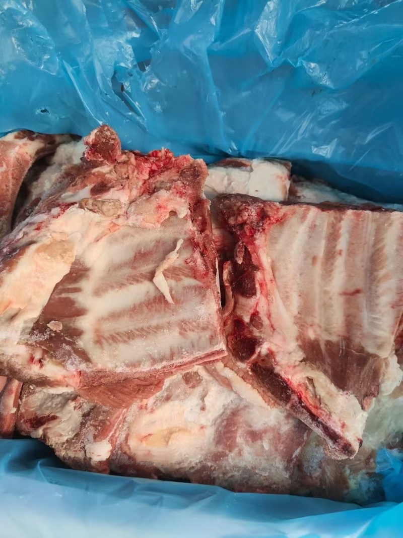 多肉小排
