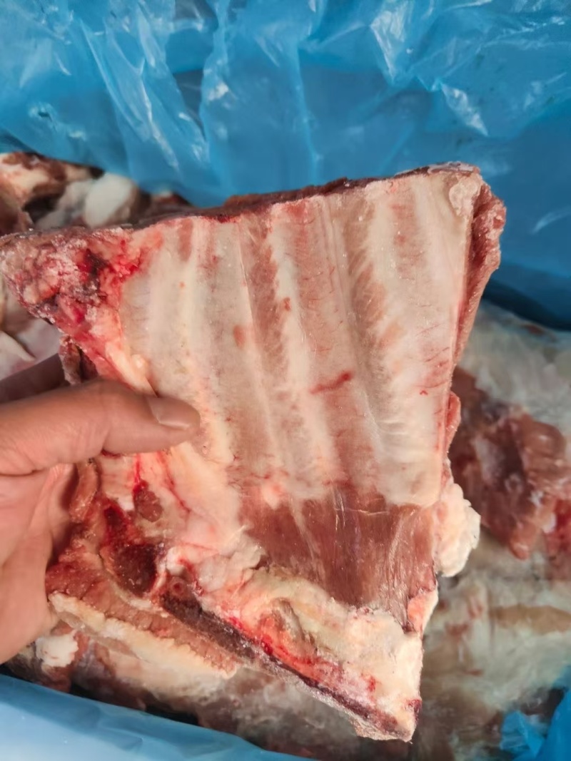 多肉小排