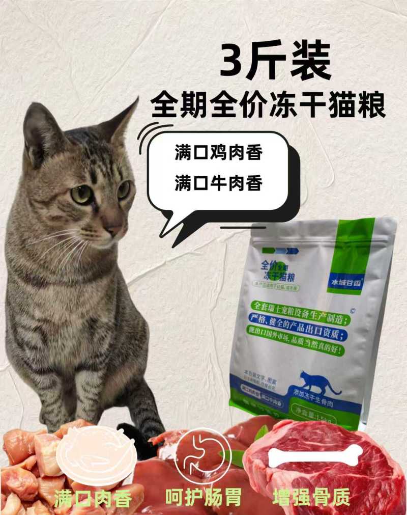 成猫幼猫添加生骨肉益生菌三文鱼油厂家直销诚招全国代理商