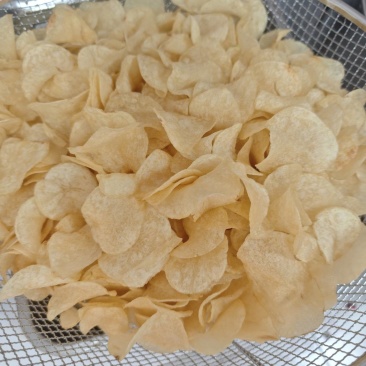 大西洋土豆炸薯片专用常年供应可发物流