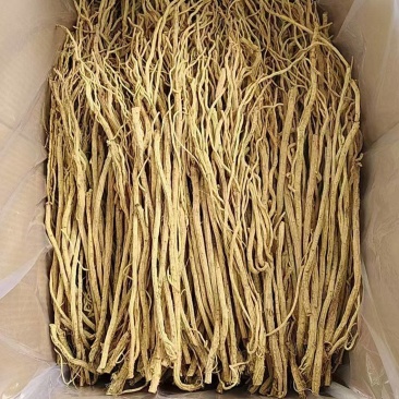 精品放风尾子
