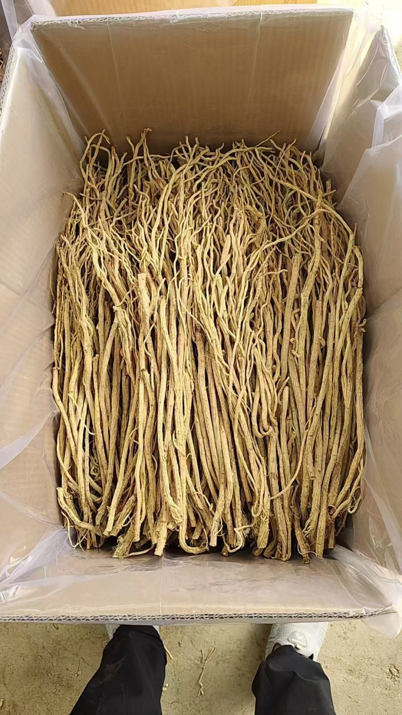 精品放风尾子