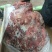牛四分体，去骨牛肉，纯干货，一手货源，全国冷链发货