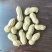 出口标准11/13海花水洗花生果，大量上市，一手货