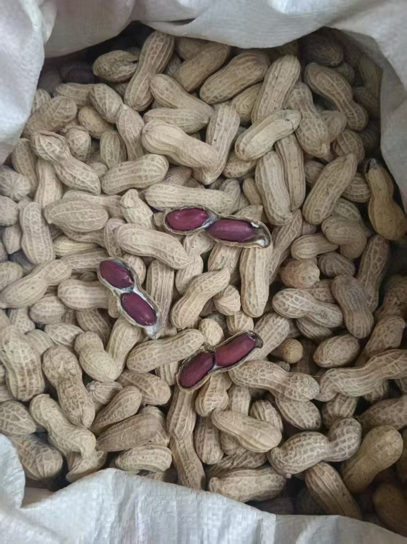 8个筛上黑花生米