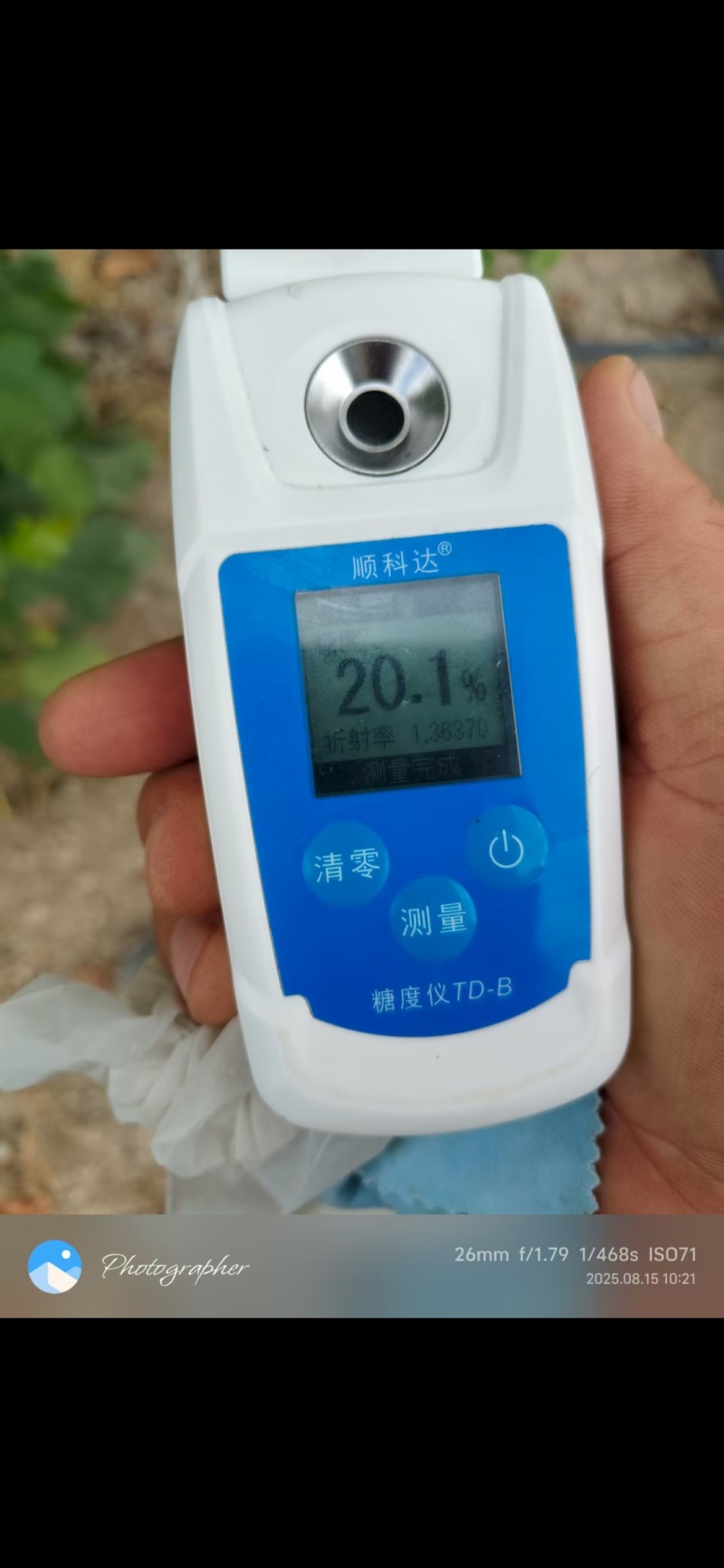 克隆生