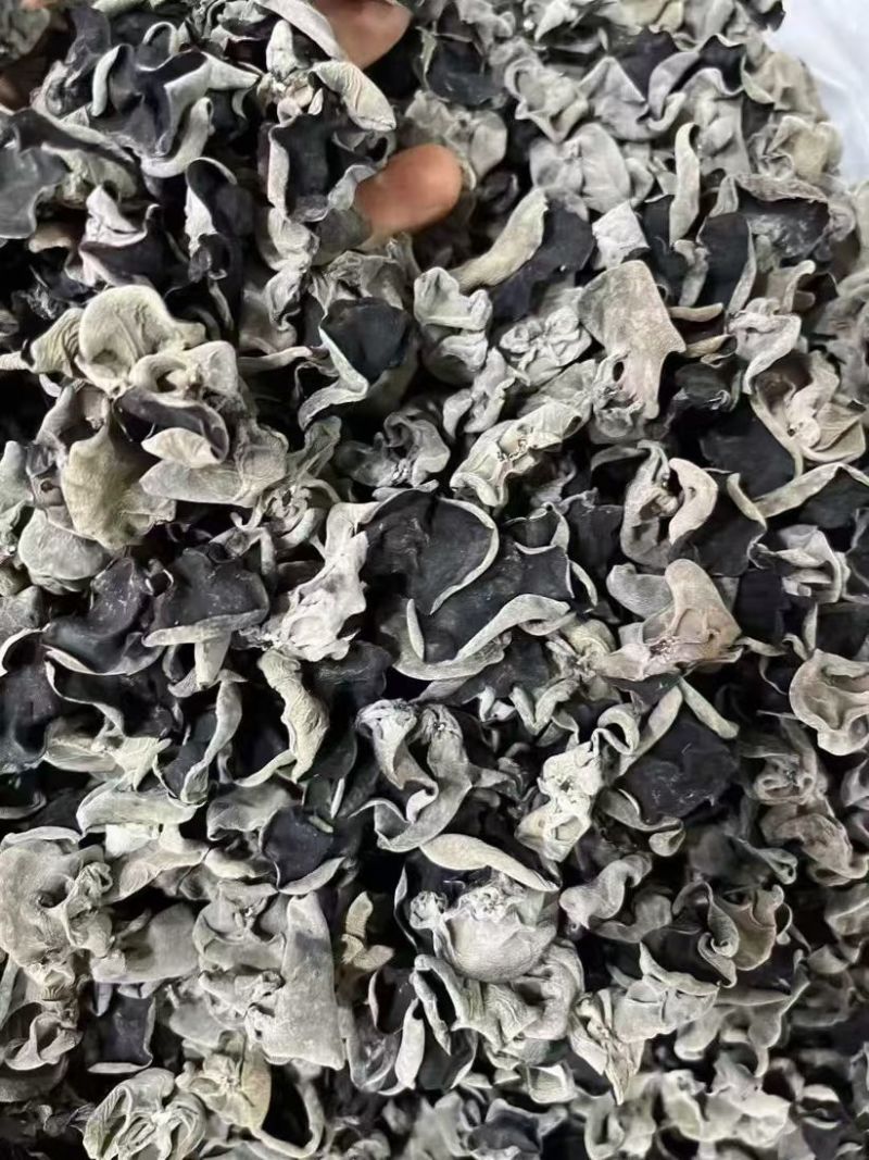 黑木耳东北黑木耳地摊赶集展销会产地