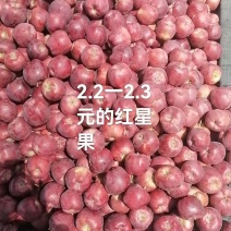 新红星苹果