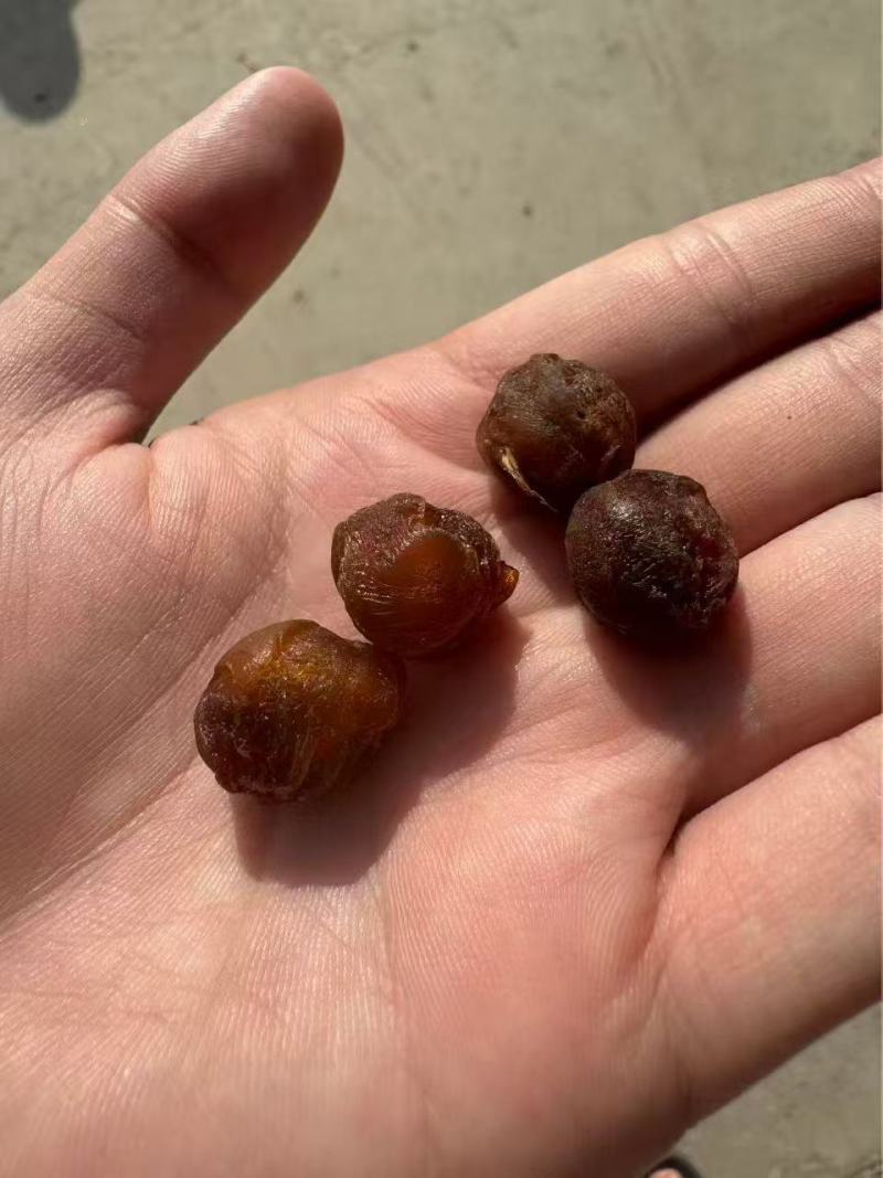 泰国桂圆干龙眼干