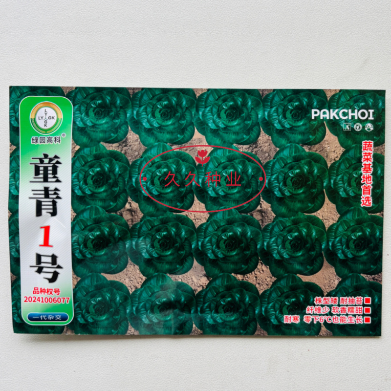 青童1号杂交苏州青种子秋播耐寒耐抽苔矮颗糯香青梗菜种籽