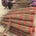【实力供货】正宗铁棍山药精品山药基地直发对接全国市场
