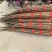 【实力供货】正宗铁棍山药精品山药基地直发对接全国市场