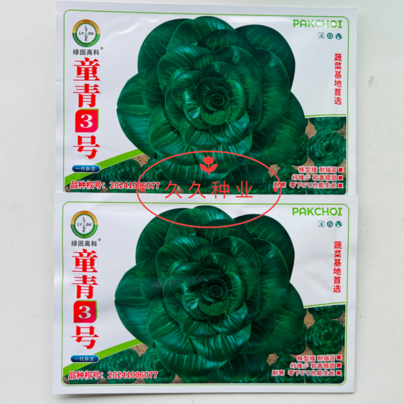 童青3号一代杂交矮脚青梗菜种子糯香味重软糯香甜叶片厚耐寒
