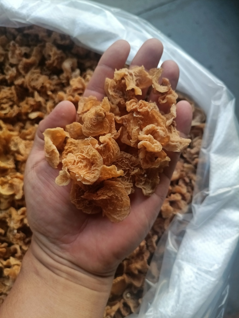 单片羊肚耳鹿肚耳自产自销无根鹿肚耳一手货源鹿肚耳批发零售