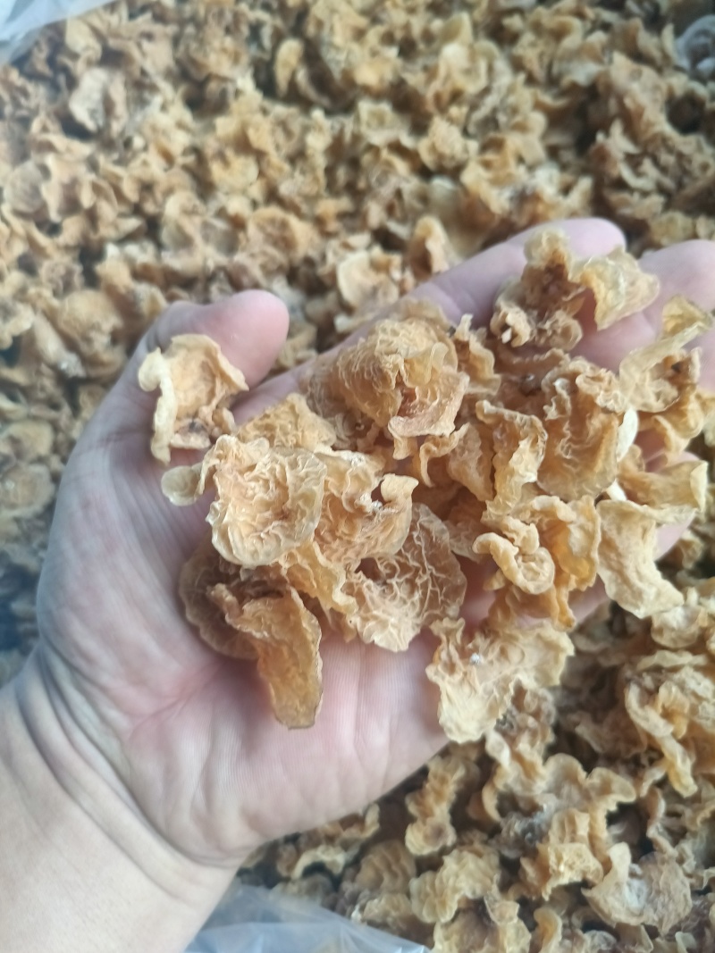 单片羊肚耳鹿肚耳自产自销无根鹿肚耳一手货源鹿肚耳批发零售