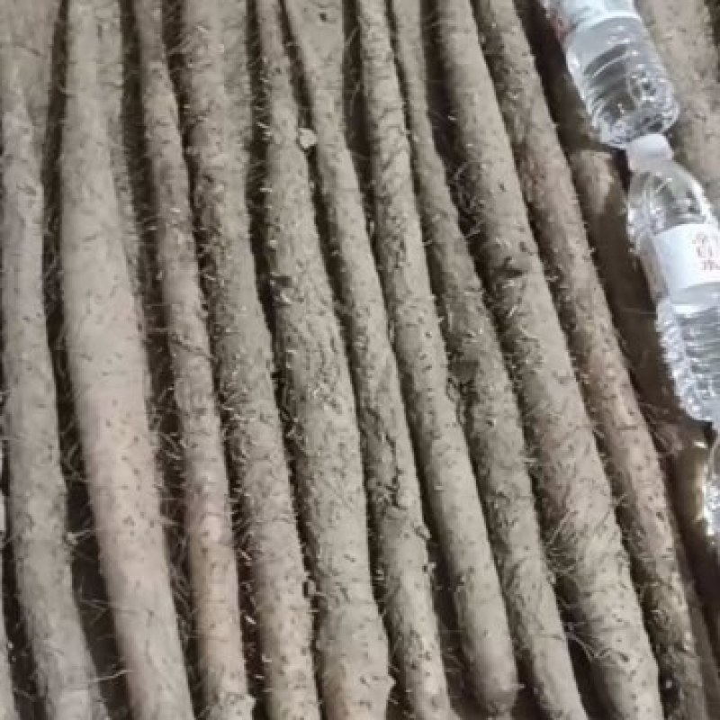 双棒通货