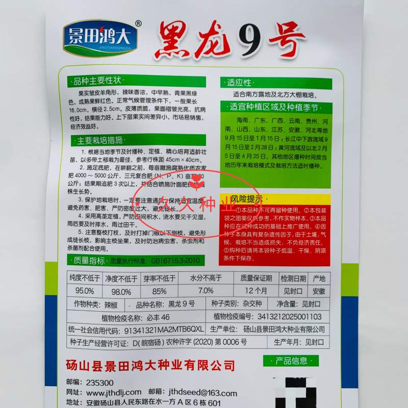 黑龙9号黑皱皮椒种子黑油亮辣味浓大果黑皱皮椒种籽基地