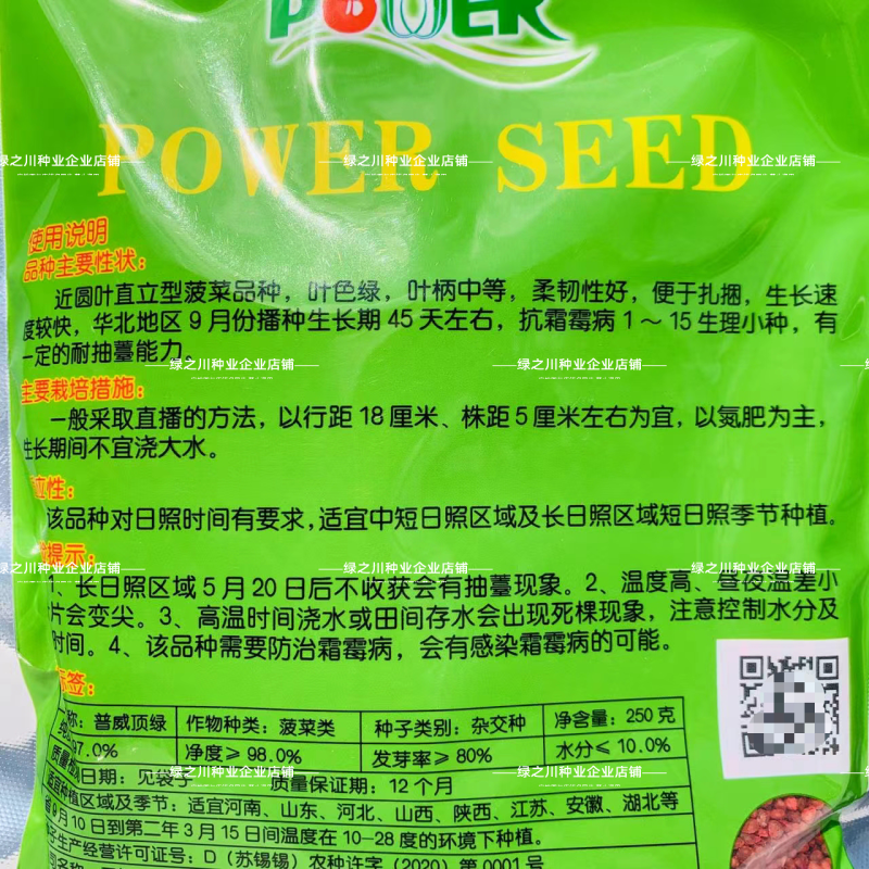 普威顶绿菠菜种子杂交直立菠菜种子耐寒春秋越冬菠菜种籽抗病