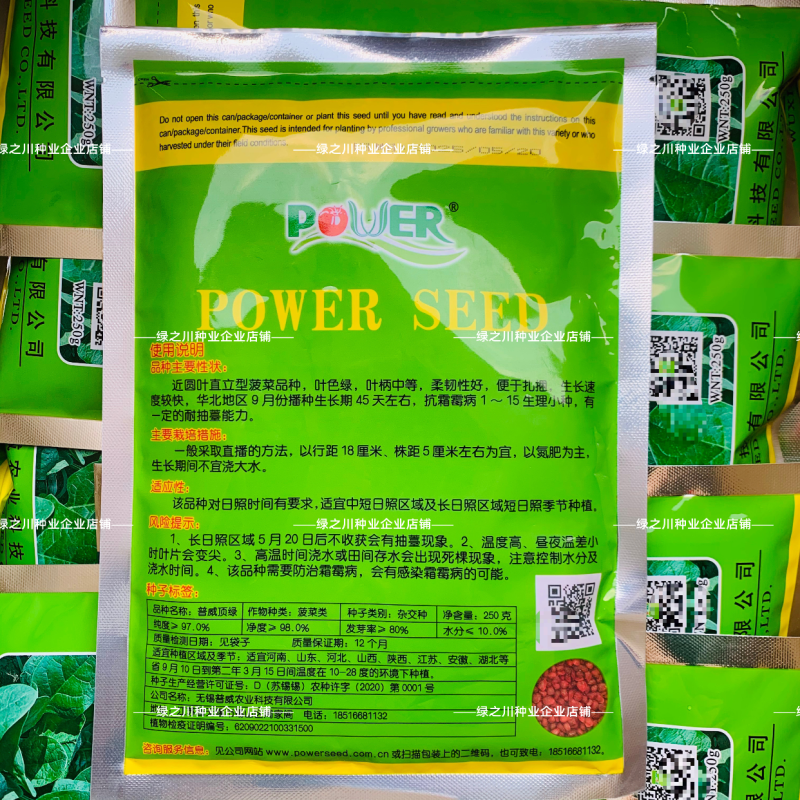 普威顶绿菠菜种子杂交直立菠菜种子耐寒春秋越冬菠菜种籽抗病