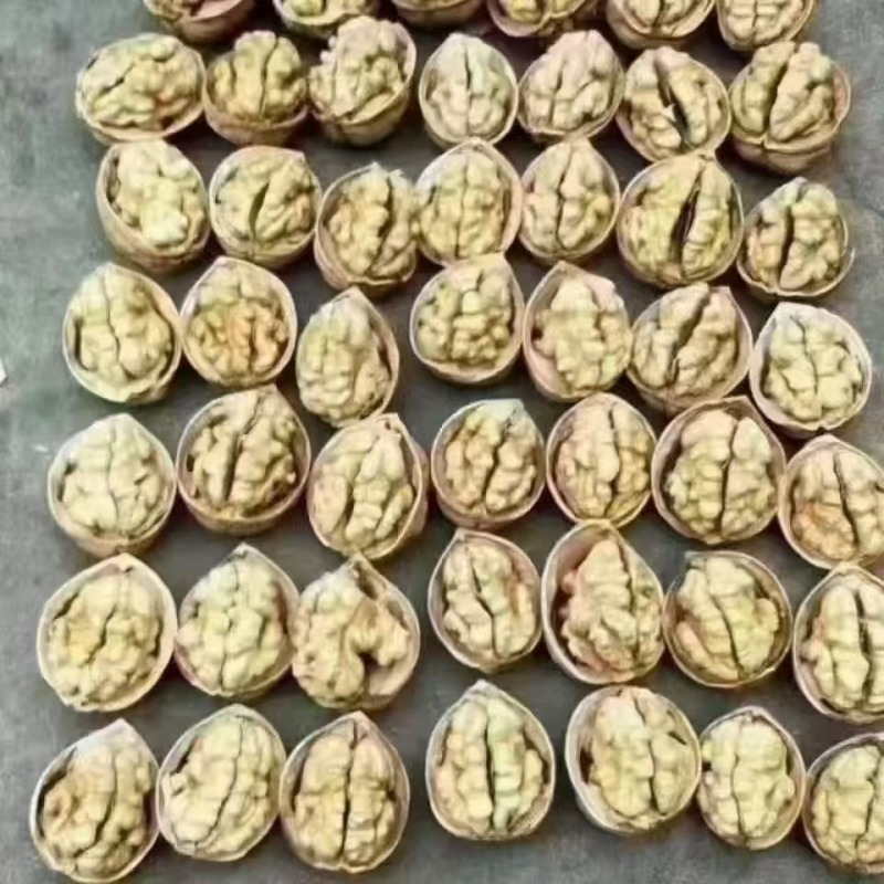 精品185核桃，全国发货，量大从优，物美价廉，诚信经营