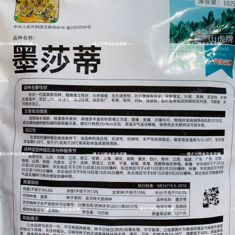 2斤装菠菜种子墨莎蒂杂交直立菠菜种籽耐寒蔬菜种子叶甜不涩