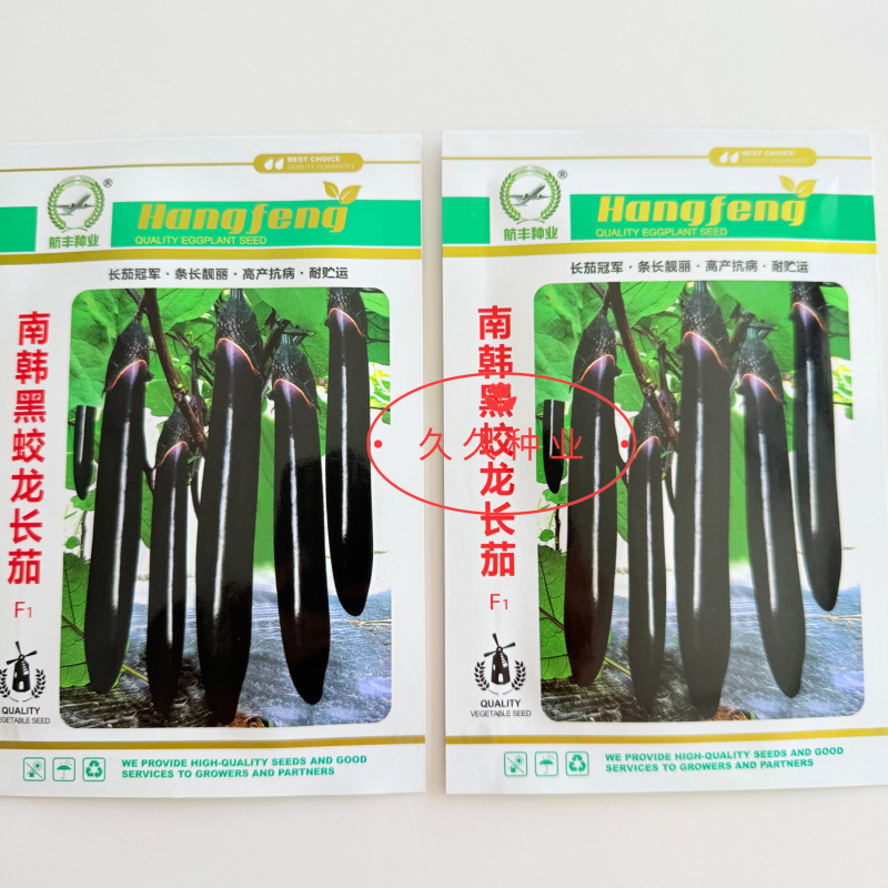 南韩黑蛟龙长茄种子条长早熟黑茄子种籽高产蔬菜基地