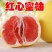 红心蜜柚正宗管溪红肉柚子礼盒装多汁当季应季薄皮孕妇新鲜水果