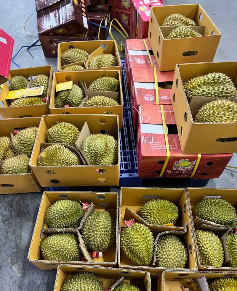 金枕榴莲一手批发价格