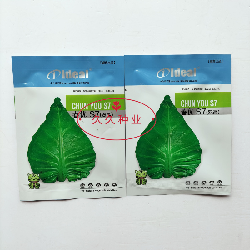 春优S7早中熟丰产牛心菜种子耐寒性强不易先期抽苔及裂球大