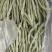 精品豆角