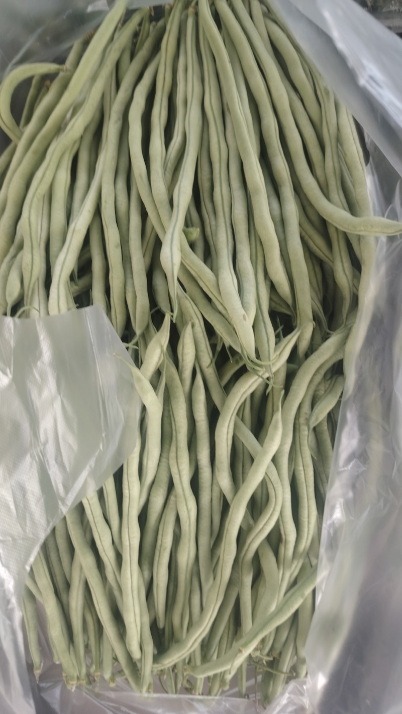 精品豆角