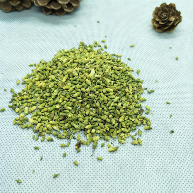 槐米中药材槐花米槐米无硫正品新货批发泡茶煲货真价实