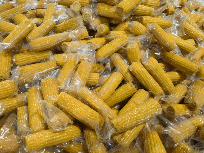 东北糯玉米粘玉米有机玉米黄白玉米一件代发贴牌批发福老乡