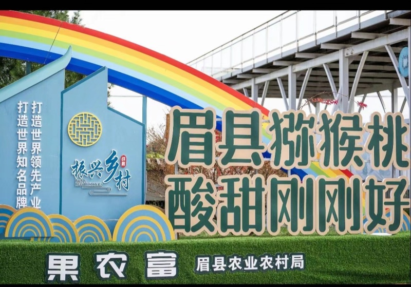 眉县徐香猕猴桃品质优良营养丰富产地直发