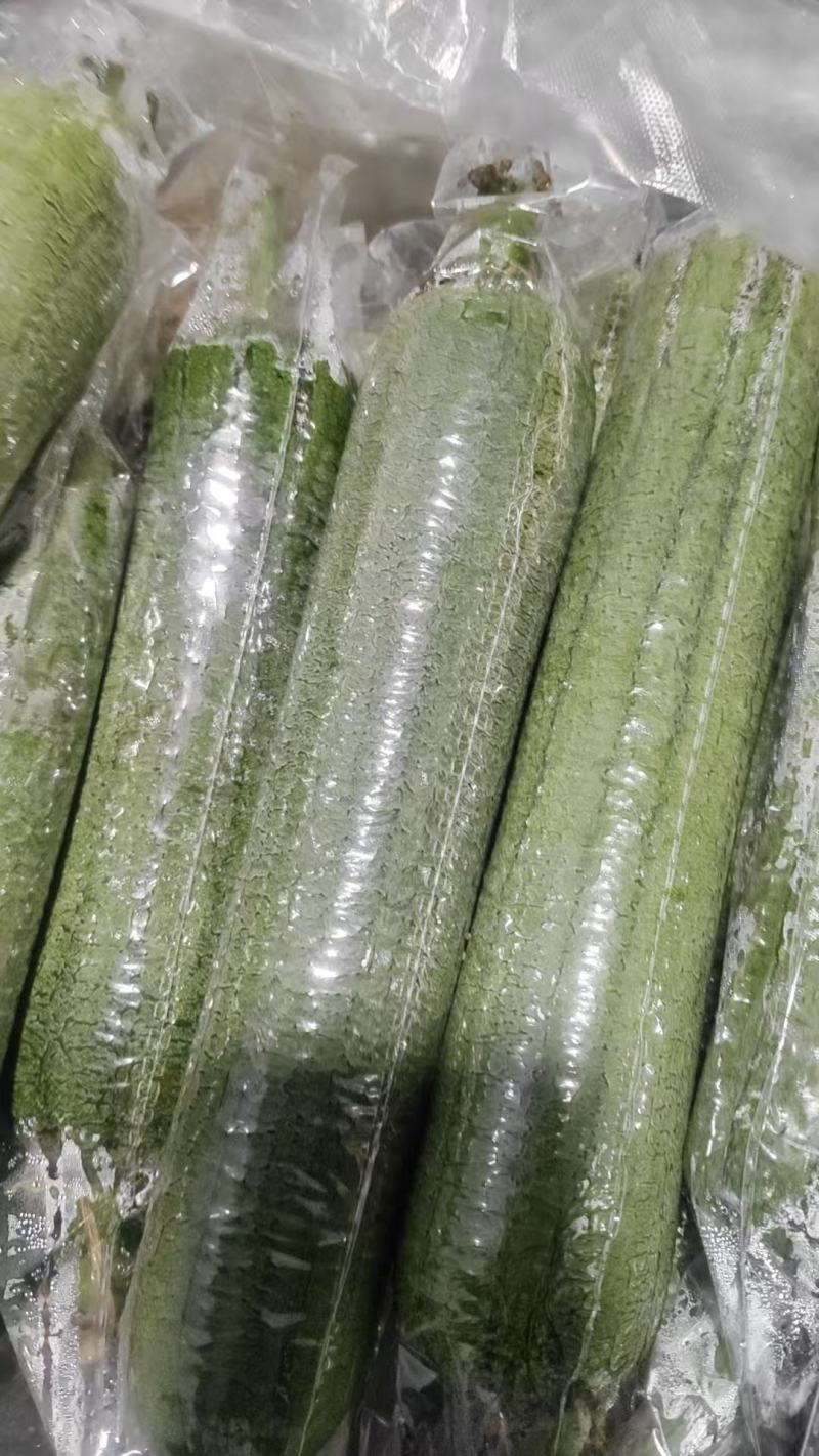 肉丝瓜，线丝瓜，个短，粗，嫩