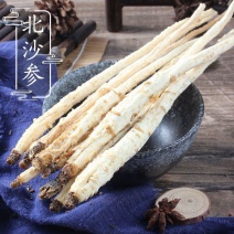 无硫沙参内蒙古赤峰北沙参个干货新鲜可搭配玉竹片麦冬北沙参