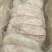 9-10个母猪肚