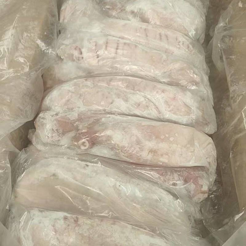 9-10个母猪肚