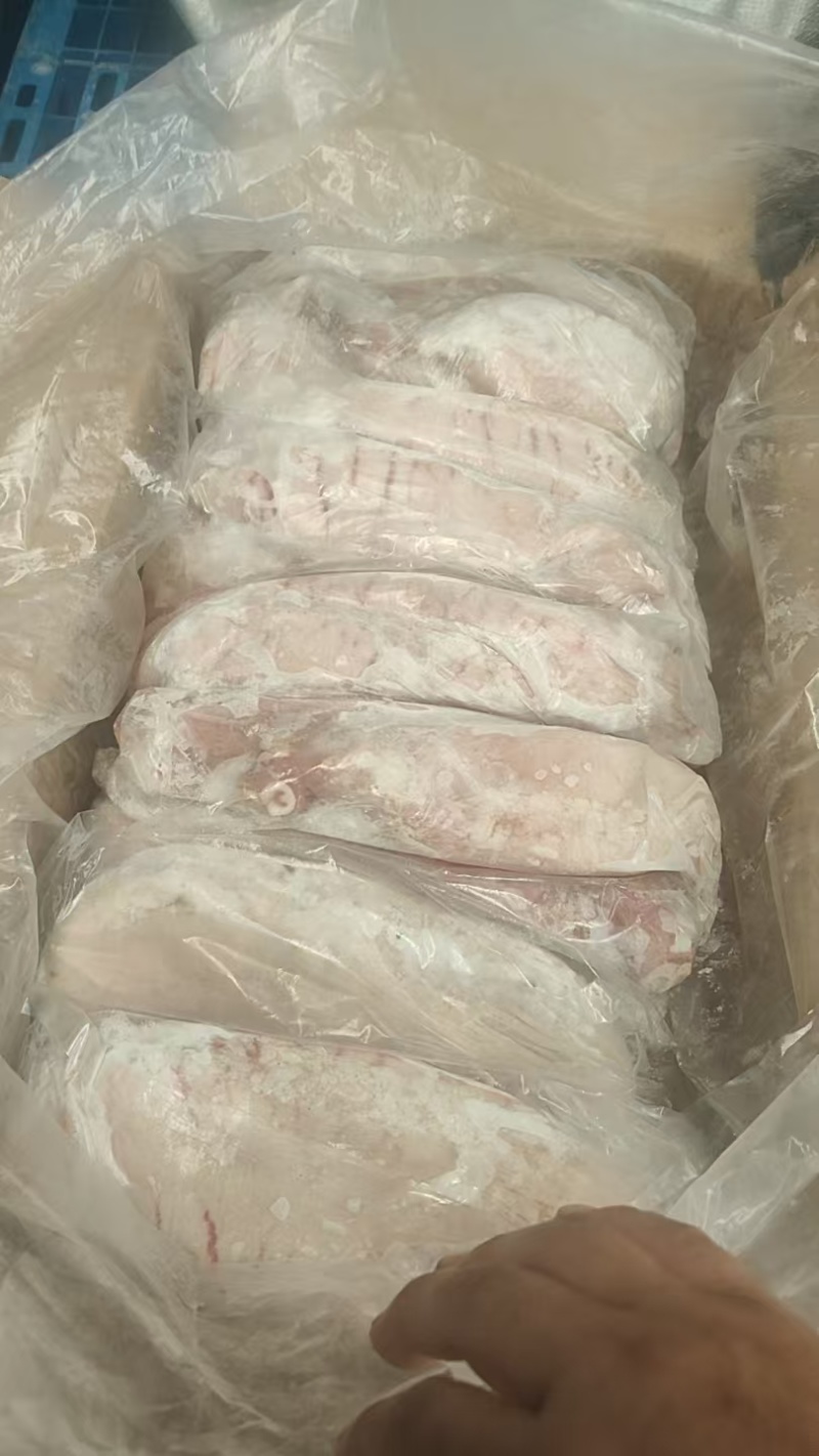 9-10个母猪肚