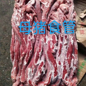 母猪精修红肠