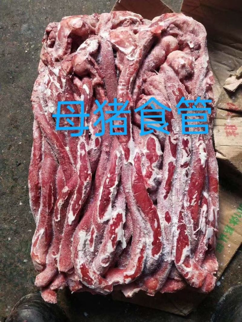 母猪精修红肠