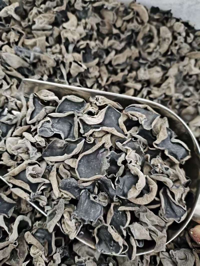 东北碗耳，秋耳，黑木耳批发一件代发，大量有货源头工厂。