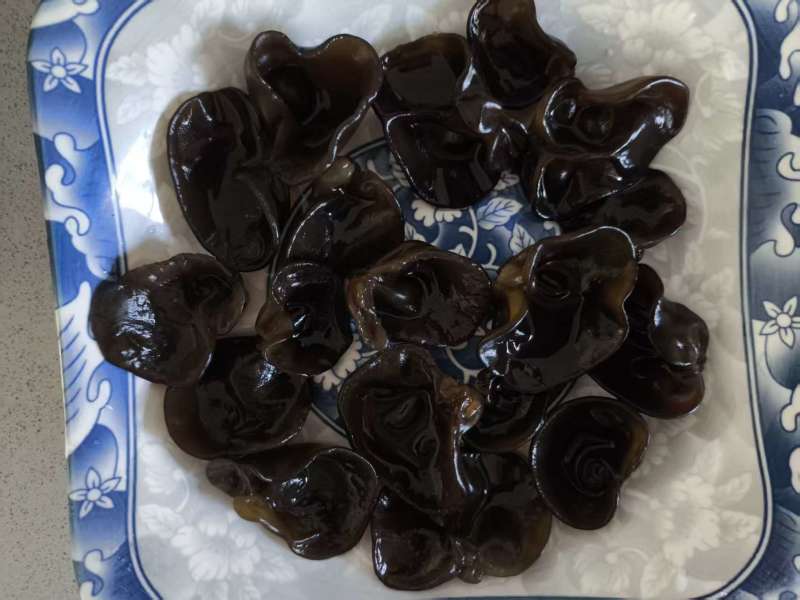 东北碗耳，秋耳，黑木耳批发一件代发，大量有货源头工厂。